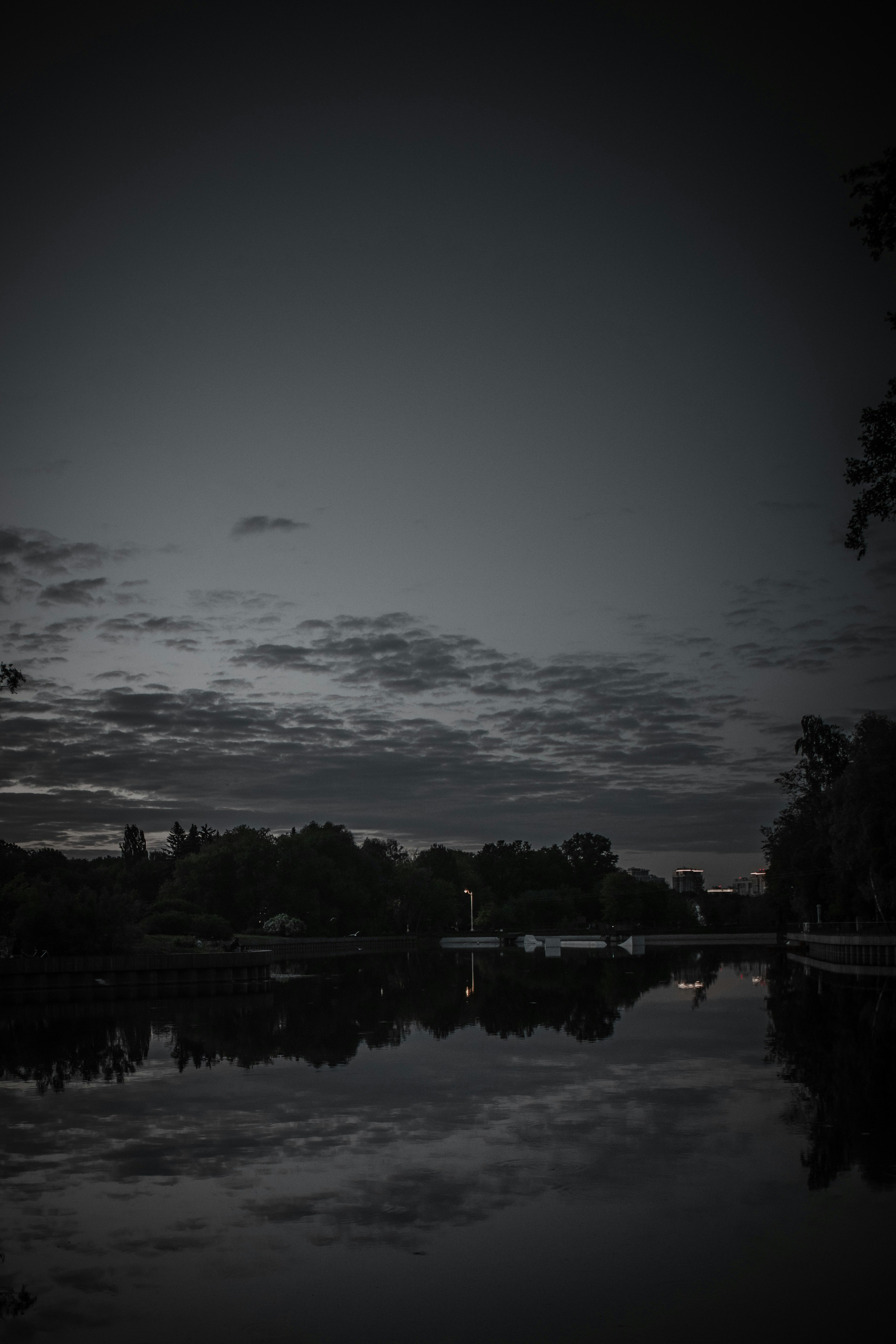 body of water near trees during night time